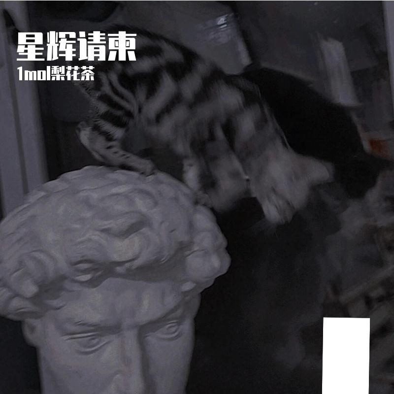 星辉请柬