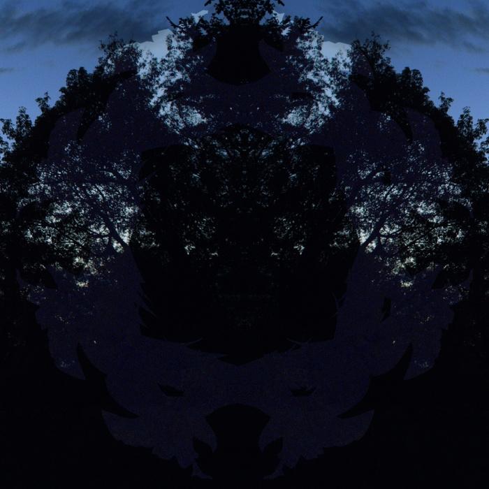 Meditations VI