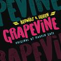 Grapevine专辑