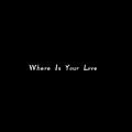 Where Is Your Love (0.8X)
