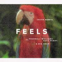 Calvin Harris & Pharrell Williams w~ Katy Perry & Big Sean - Feels (VS karaoke) 带和声伴奏