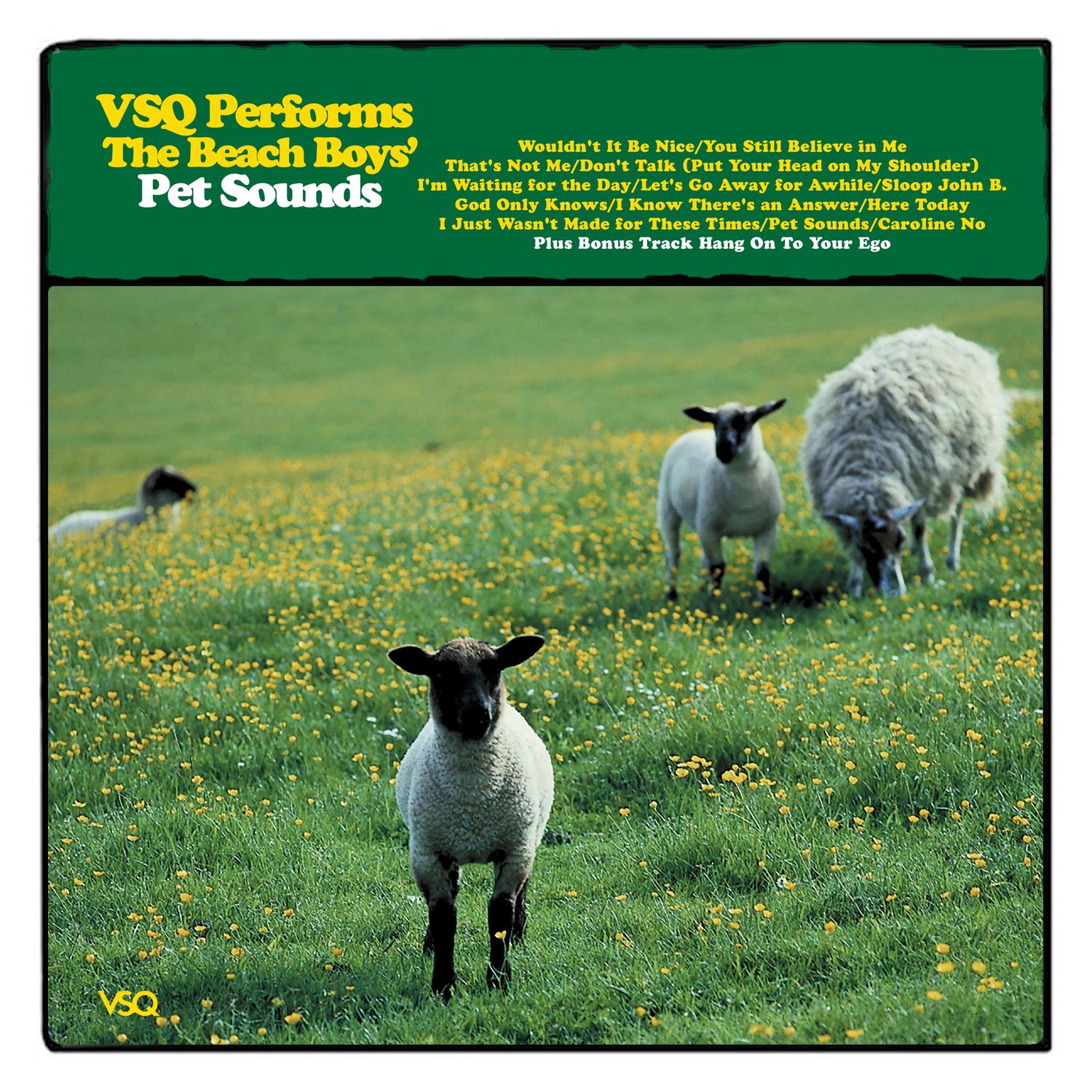 The String Quartet Tribute to The Beach Boys: Pet Sounds