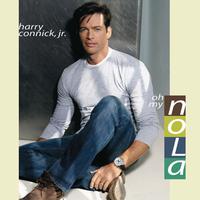 Harry Connick Jr - She (unofficial Instrumental)