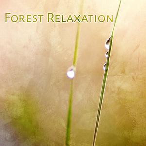 rest forest (Instrumental) （降5半音）