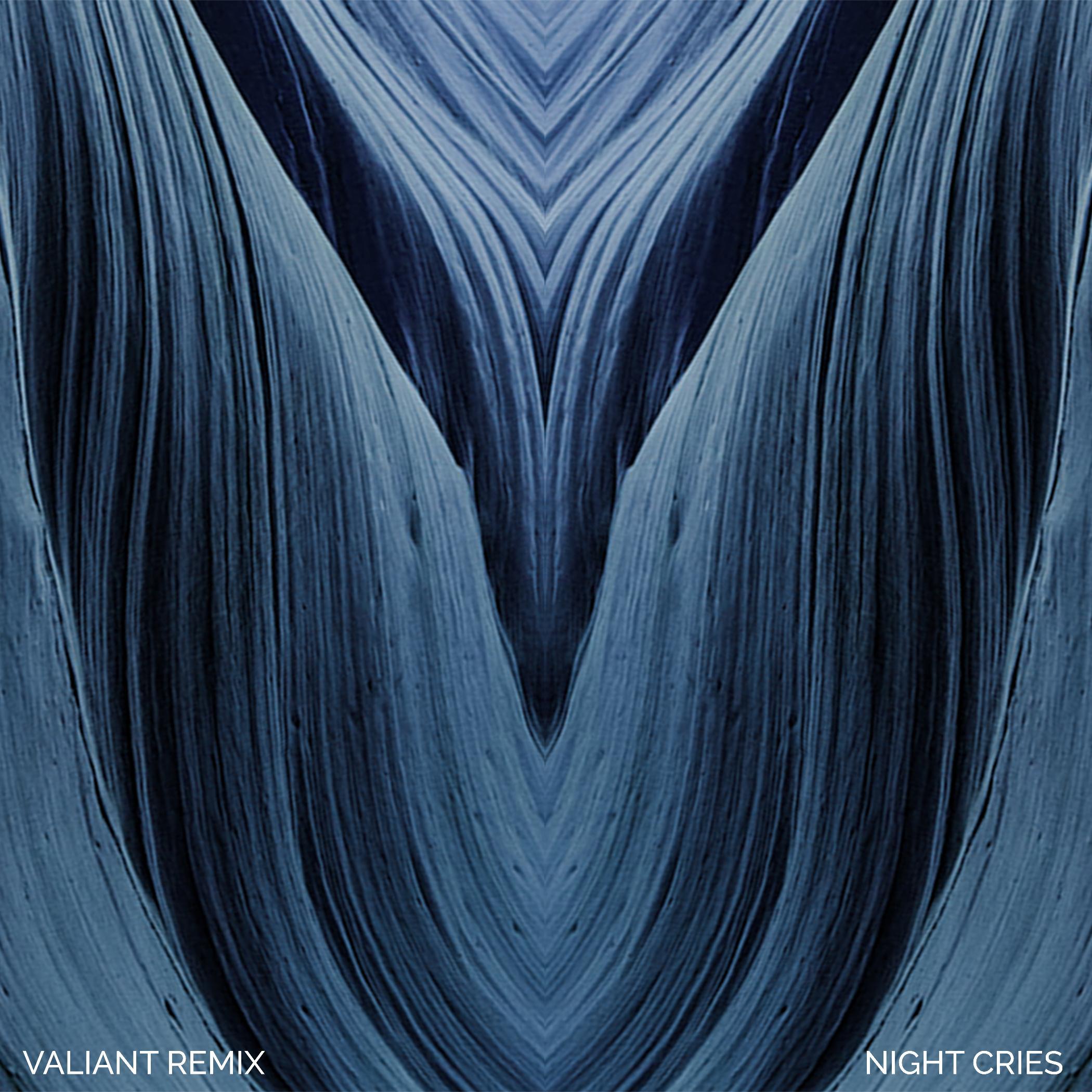 Night Cries (Valiant Remix)专辑