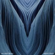 Night Cries (Valiant Remix)