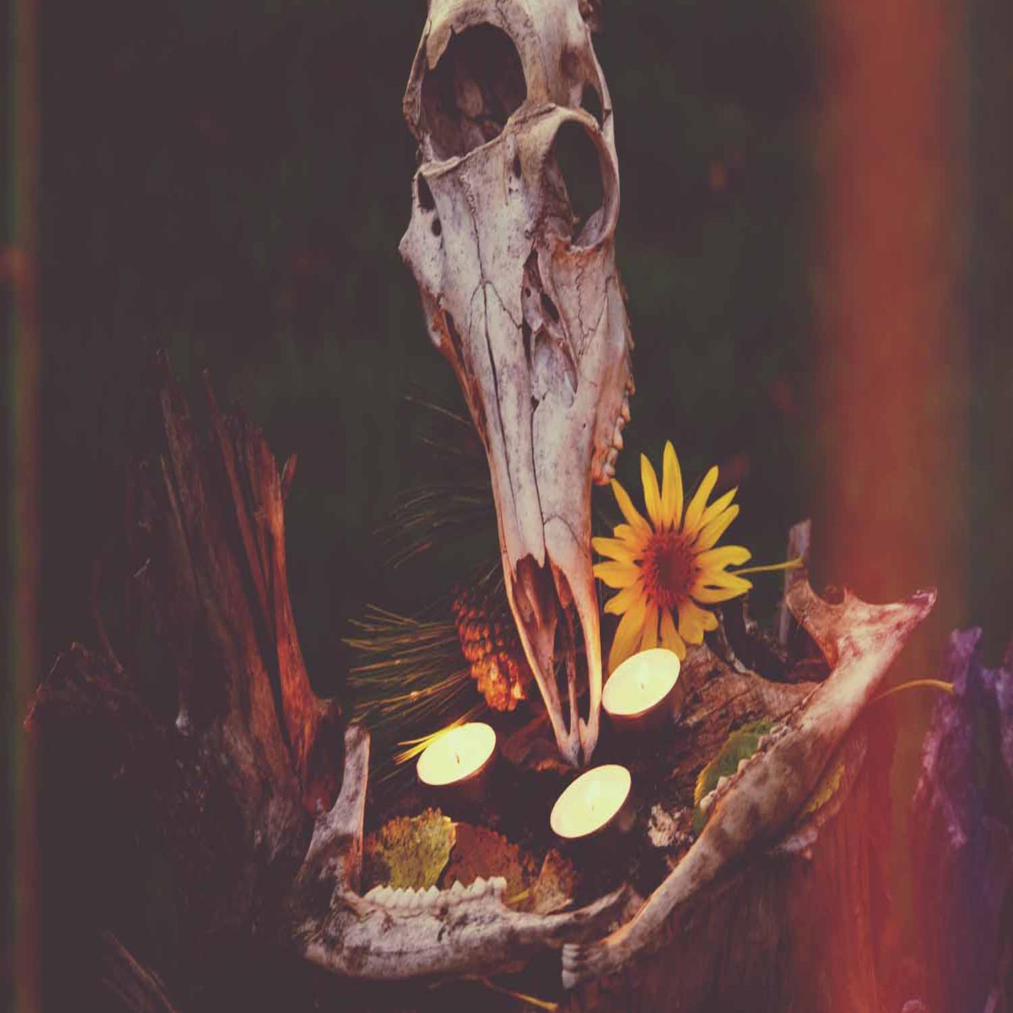 Crone