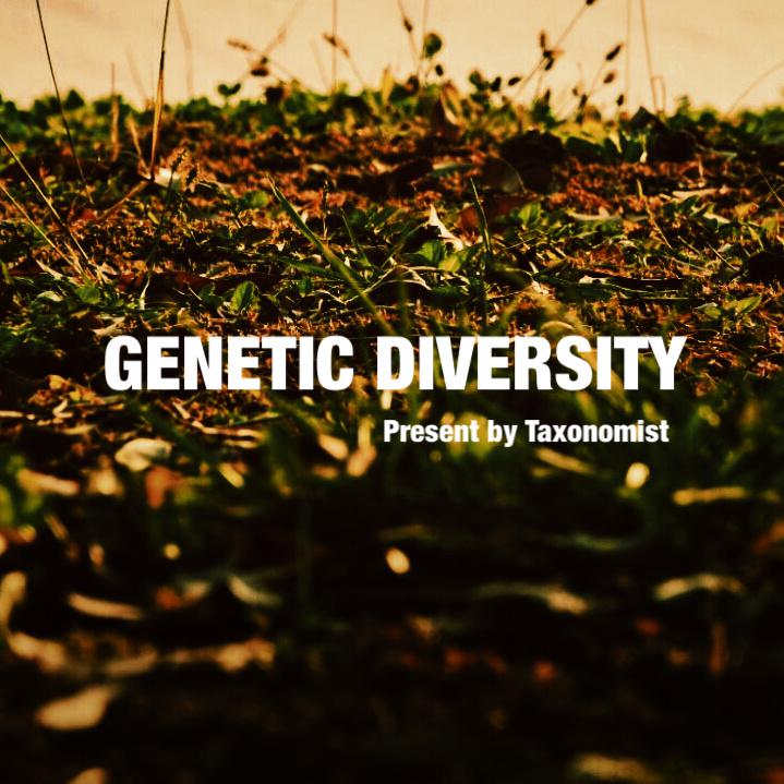 Genetic Diversity专辑