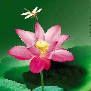 走进德音雅乐（歌单一）