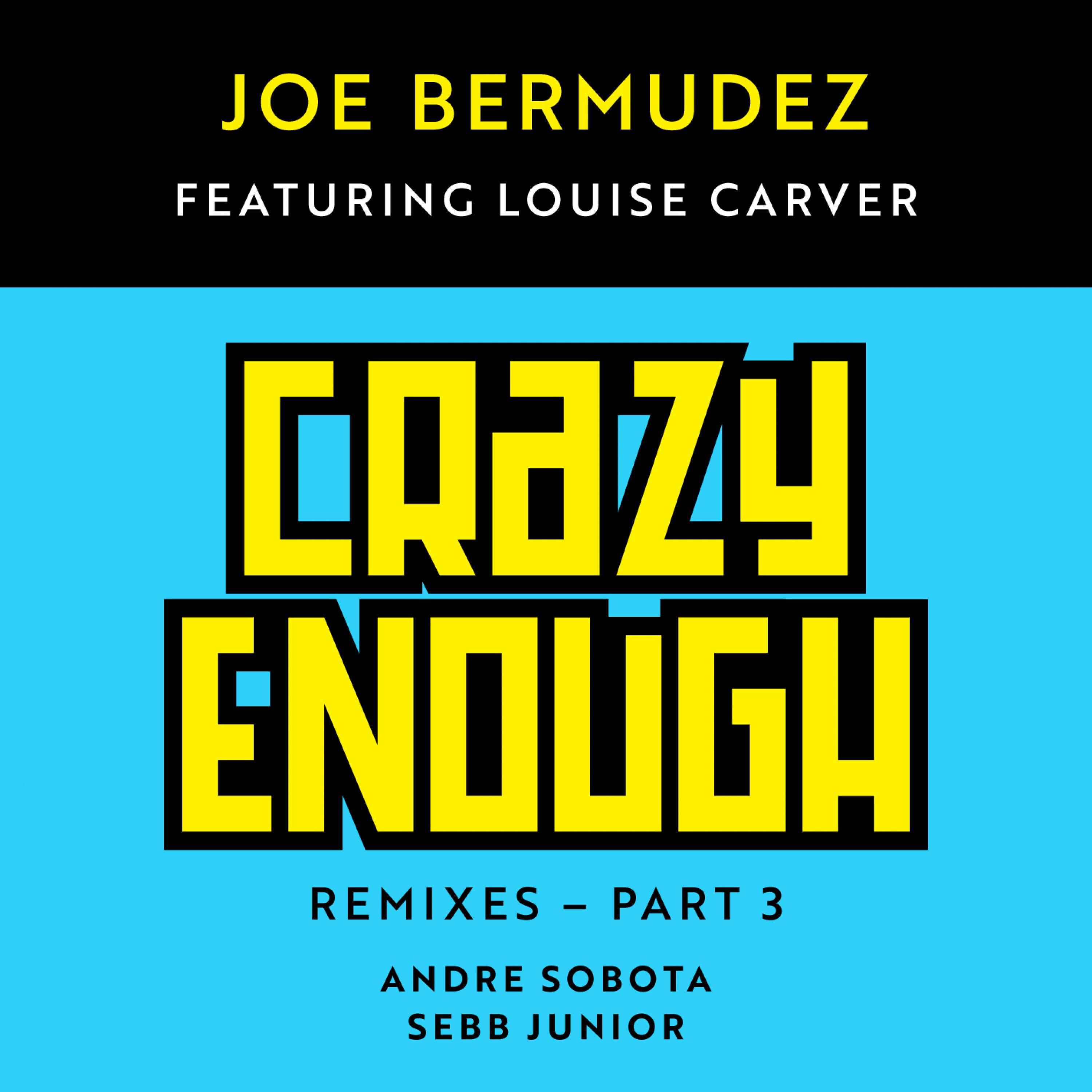Joe Bermudez - Crazy Enough (Sebb Junior Remix)