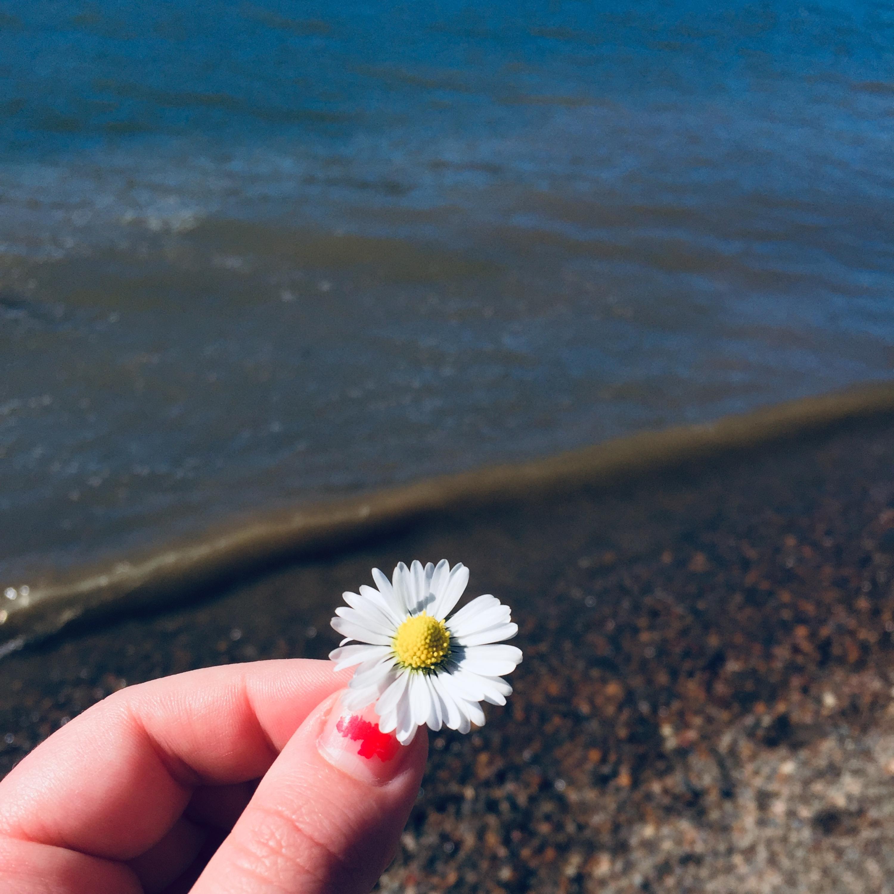 With You