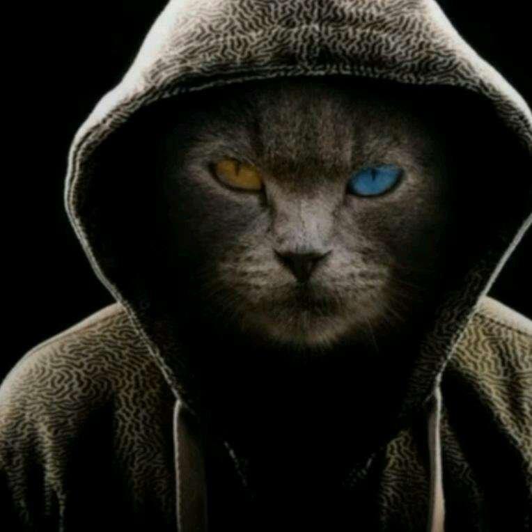 AHSA DJ