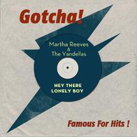 Martha Reeves And The Vandellas - If I Had a Hammer (karaoke)