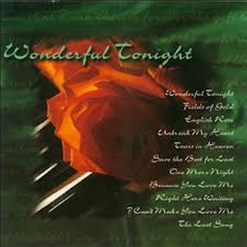 Wonderful Tonight