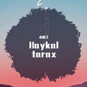 Haykal tarax