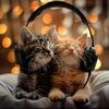 Relaxing Kitten Music - Calm Curl Chorus