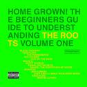 Home Grown! The Beginner's Guide to Understanding the Roots, Vol. 1