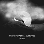 Wild Like The Wind (Benny Benassi & DJ Licious Remix)专辑