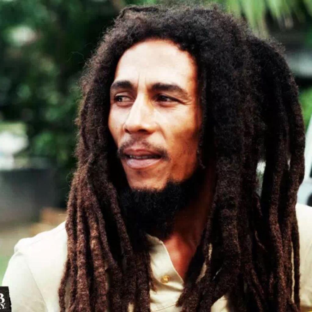 AllMusic五星专—Reggae
