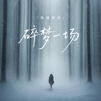 Carly Pearce - What He Didn't Do (Pr Instrumental) 无和声伴奏