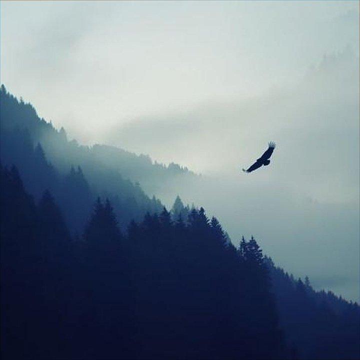 意境.氛围纯音｜聆听入境，如雨成风