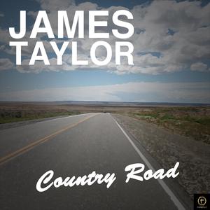 James Taylor - HANDY MAN （升6半音）