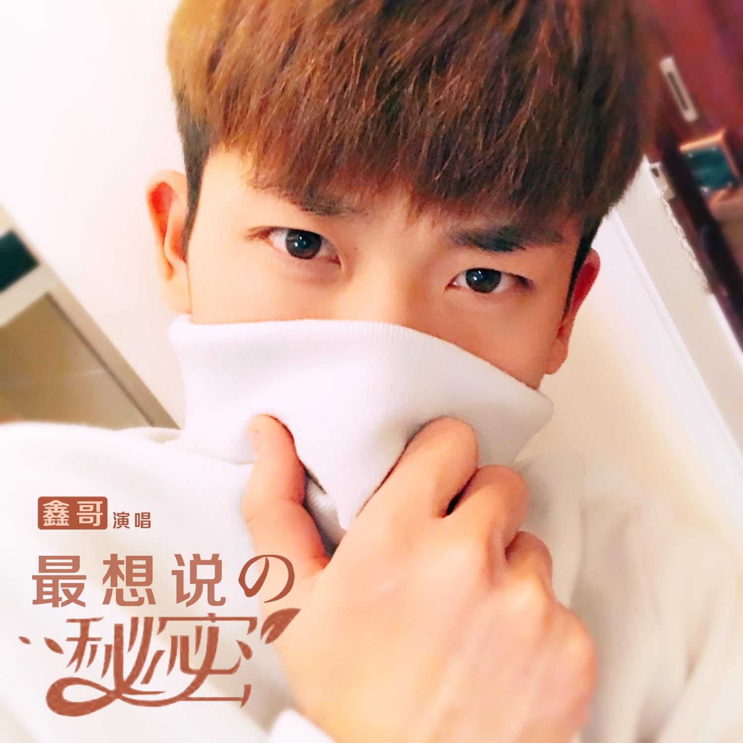 最想说的秘密 - 鑫哥 - 单曲 - 网易云音乐