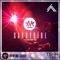 Candy Girl (TSAR Remix)专辑