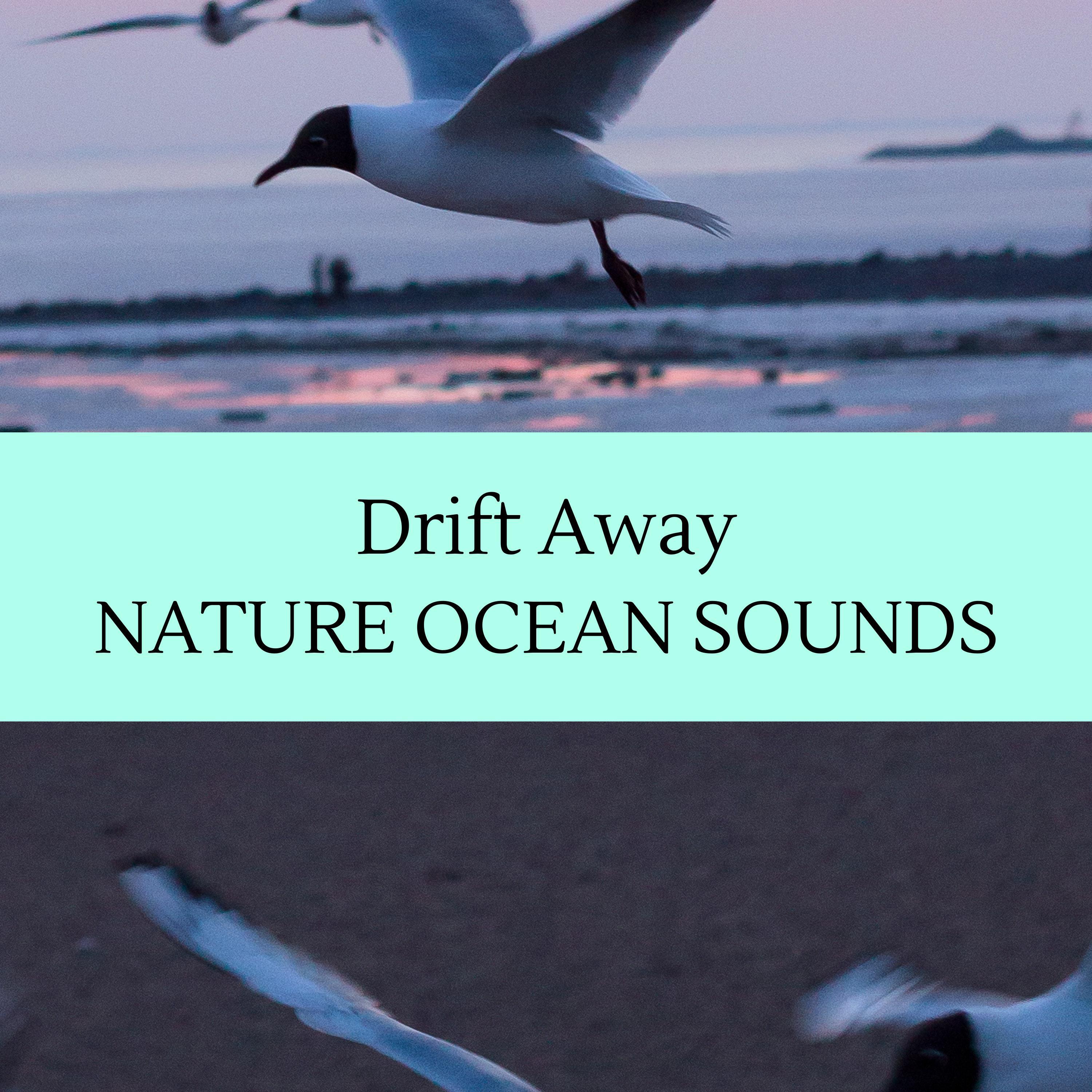 Paradise Waves Nature Music - Natural Birds Sound