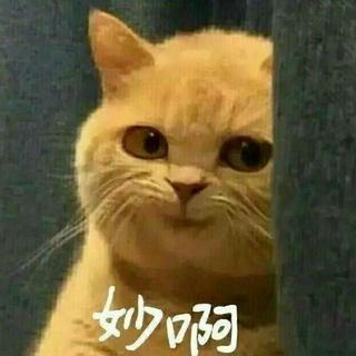 ［小众旋律控］& pop Dan2012全首