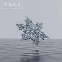 雪梨花开 beat 和声 （原版立体声）