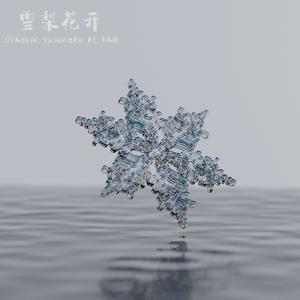 雪梨花开 beat 和声2 （原版立体声）