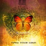 Open Your Mind专辑