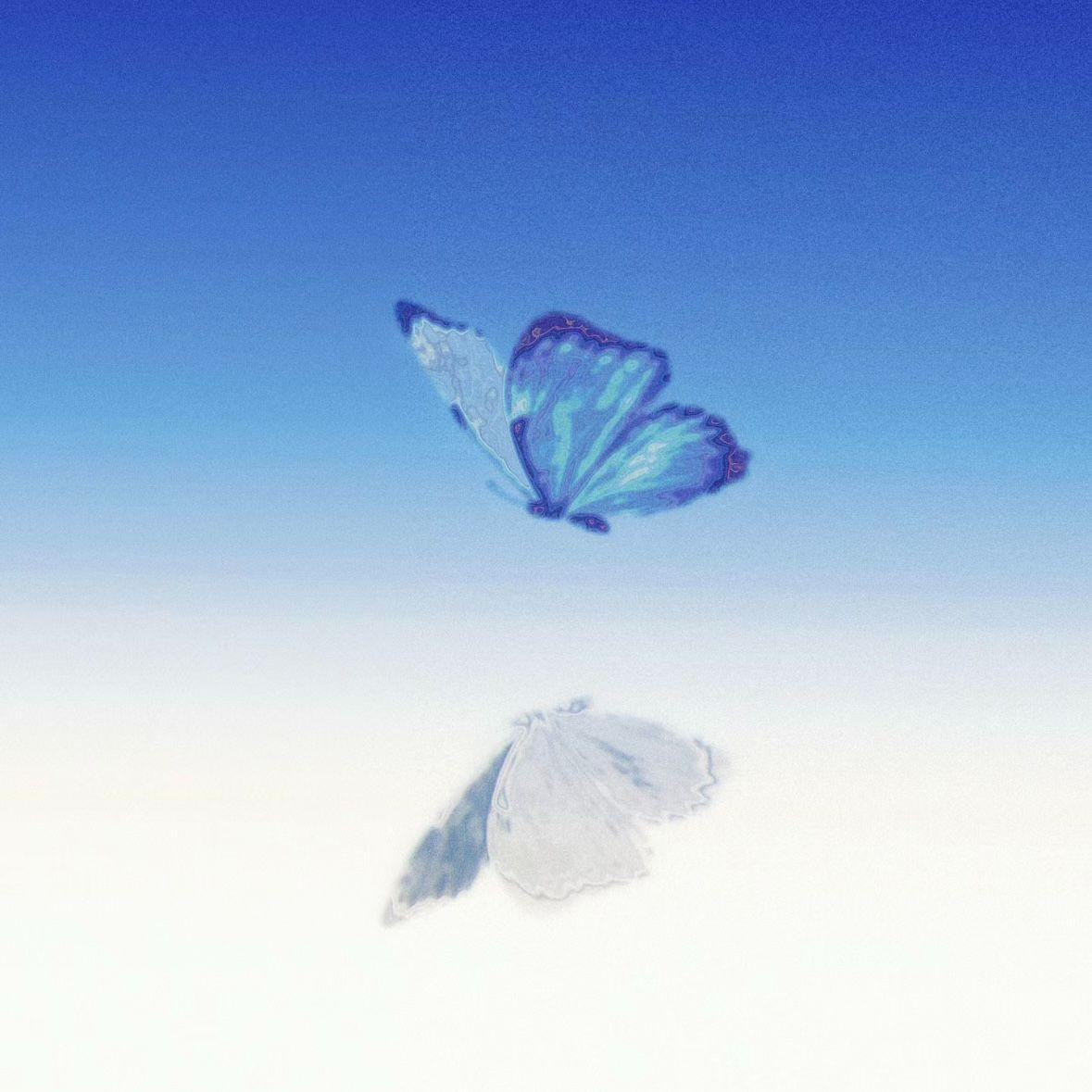 阳光下的星星