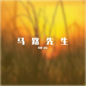 倪鹏 - 键盘侠(伴奏).mp3