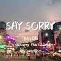 SAY SORRY