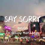 SAY SORRY专辑