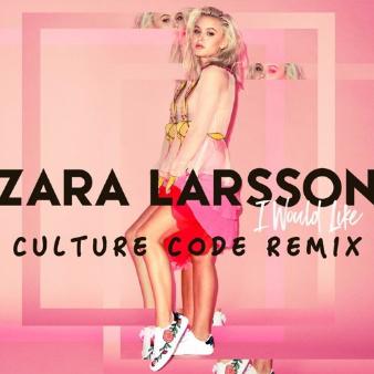 I Would Like (Culture Code Remix)专辑