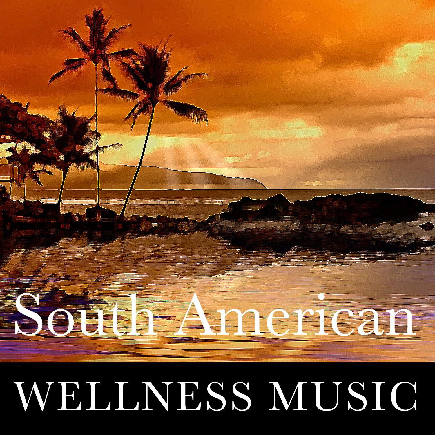 South American Wellness Music专辑