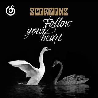 传统金属精选|从《Follow Your Heart (Version 2017)》听起