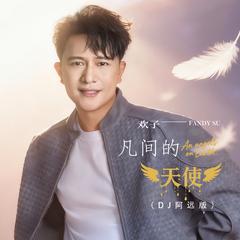 凡间的天使 (DJ阿远版)