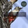 Feather Touch Nature Sounds - Dark Insects