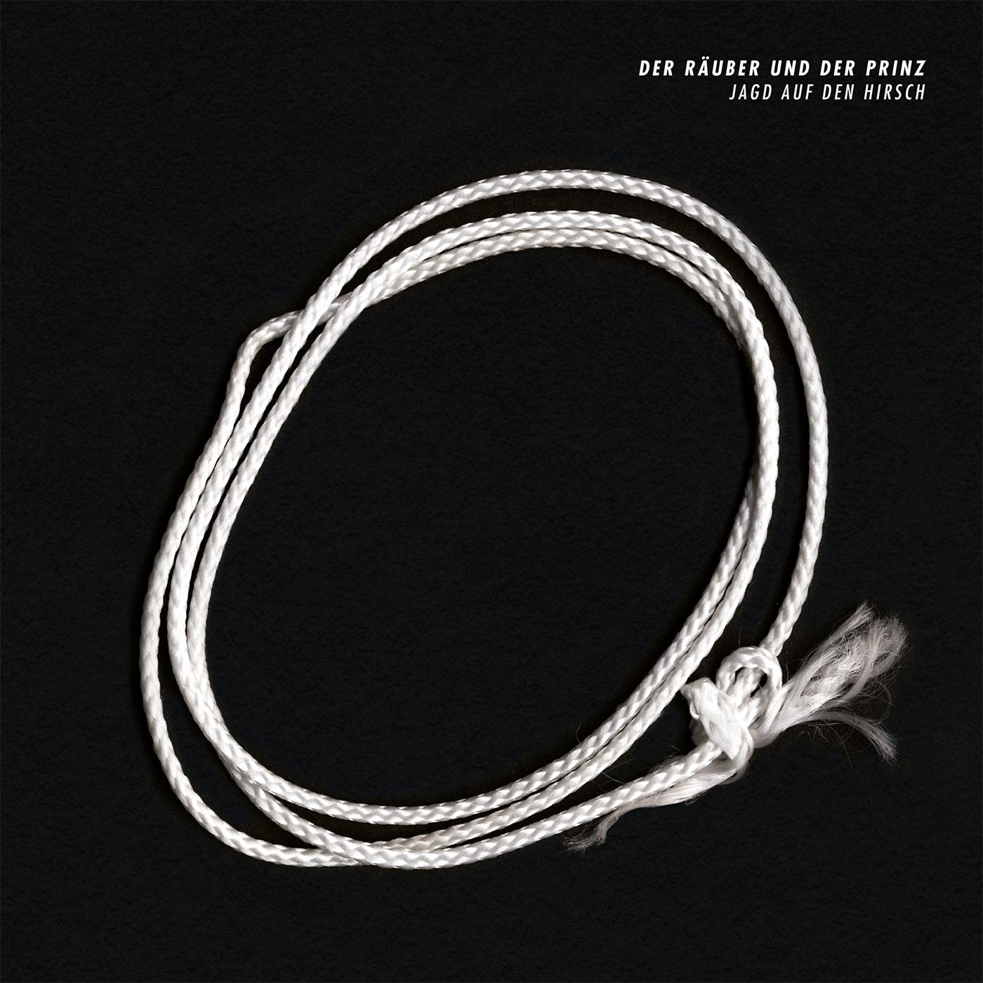 Moogwalzer (Original Mix)