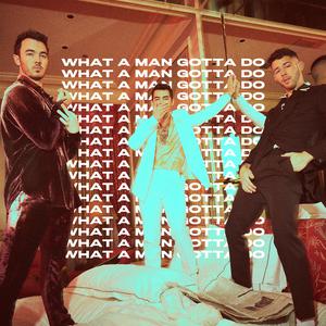 Jonas Brothers - What A Man Gotta Do (PT karaoke) 带和声伴奏