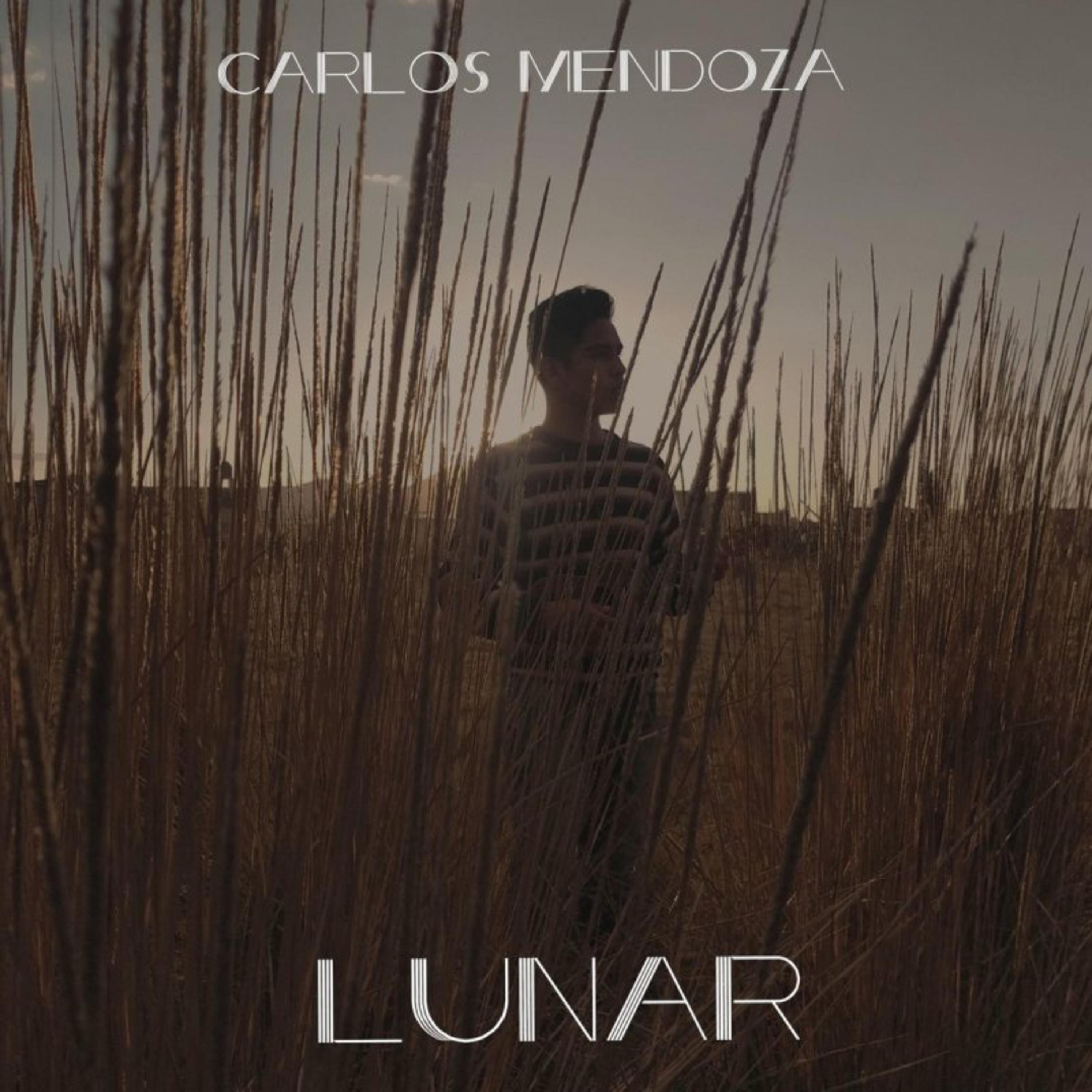 Lunar