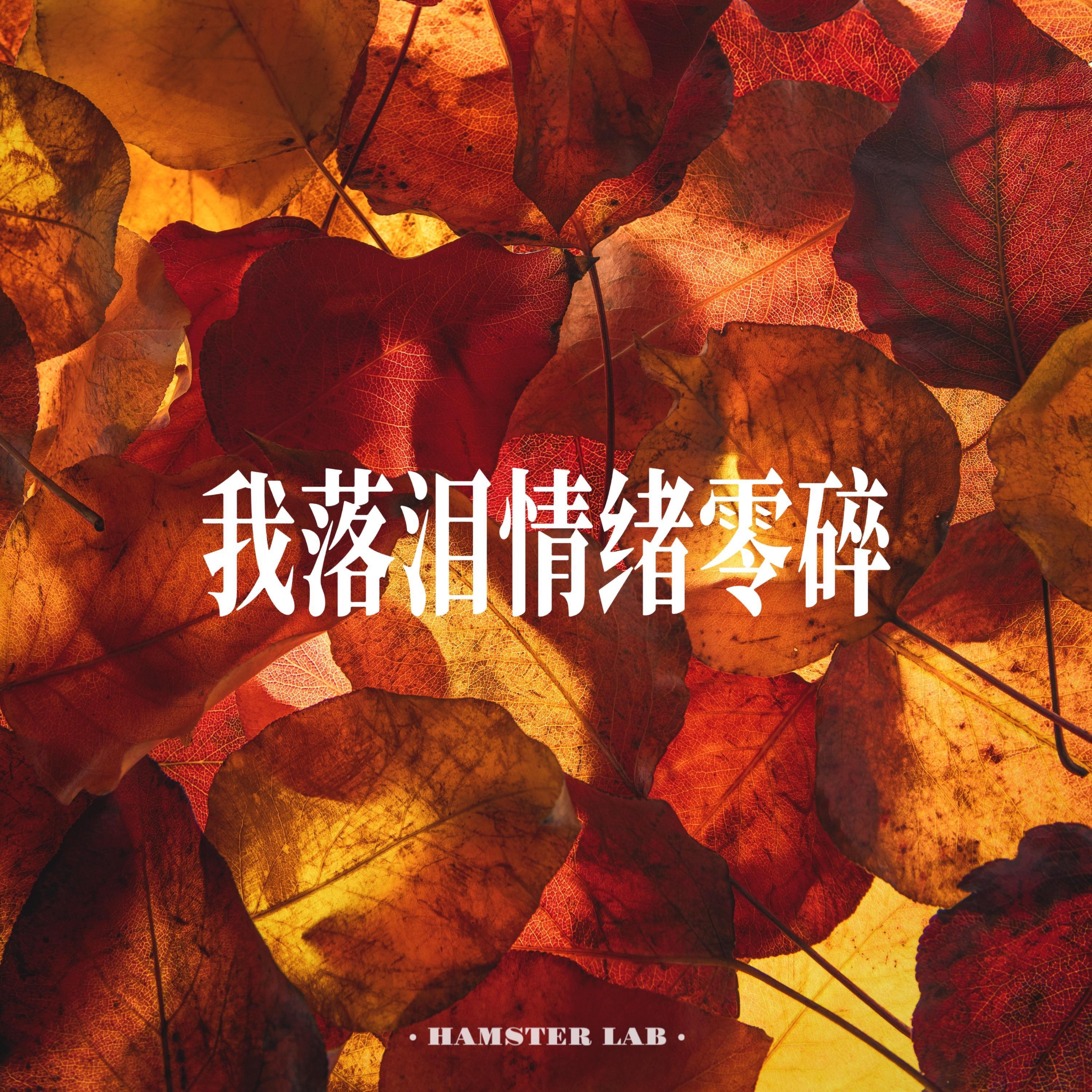 我落泪情绪零碎 (Neo Soul Style)