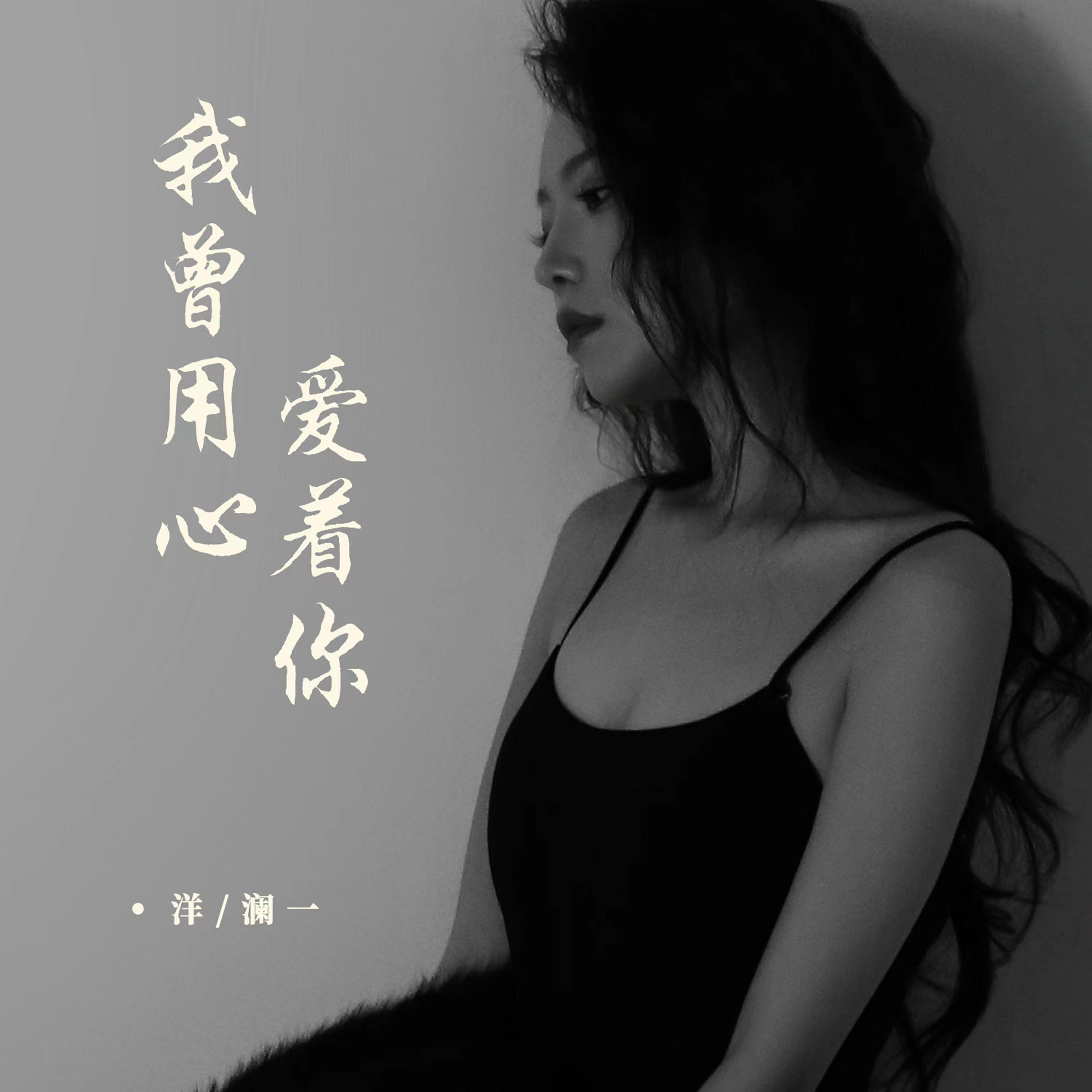 我曾用心爱着你（dj何友版）