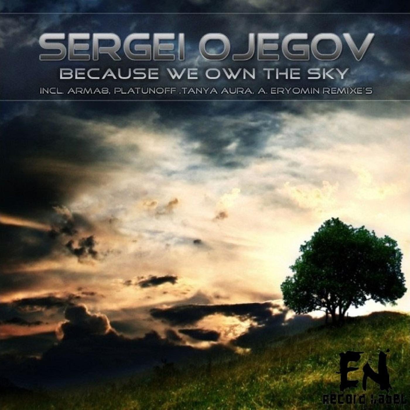 Because We Own the Sky