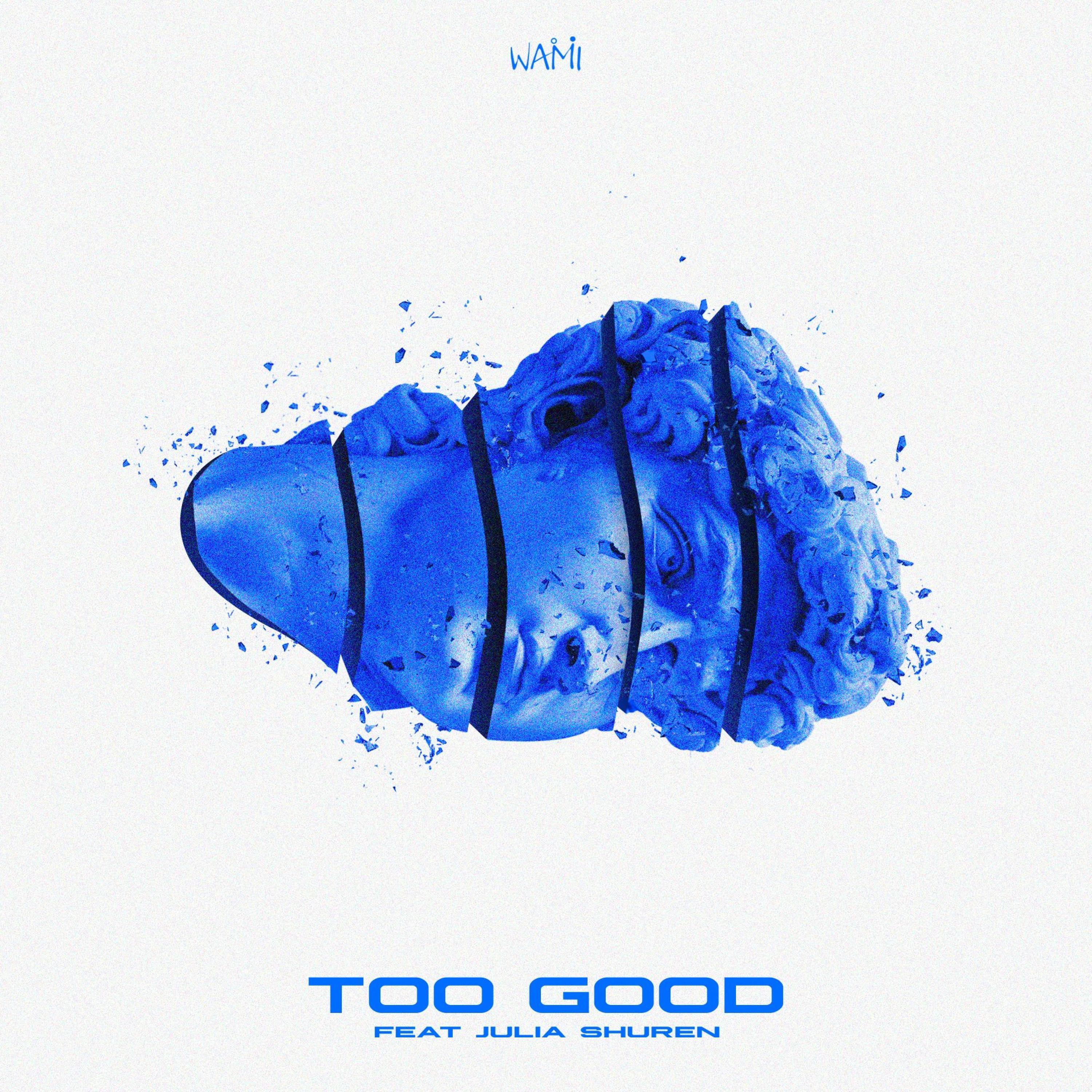 Too Good (feat. Julia Shuren)