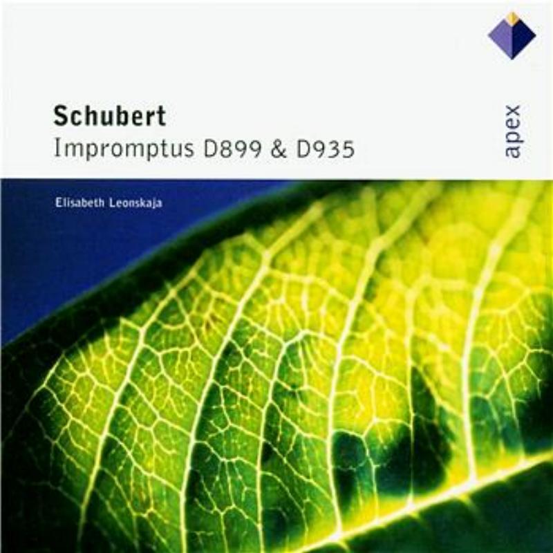 Schubert : Impromptus D899 & D935